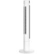 Колонный вентилятор Royal Clima RBF-1001E-WT